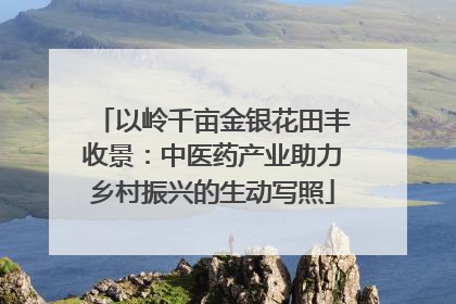 以岭千亩金银花田丰收景：中医药产业助力乡村振兴的生动写照