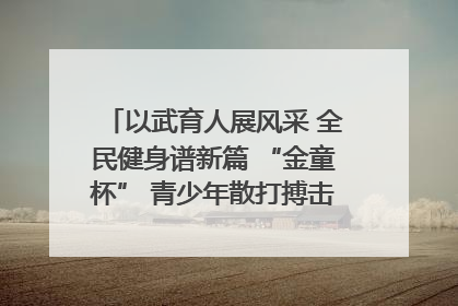 以武育人展风采 全民健身谱新篇 “金童杯” 青少年散打搏击邀请赛圆满落幕