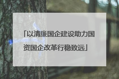 以清廉国企建设助力国资国企改革行稳致远