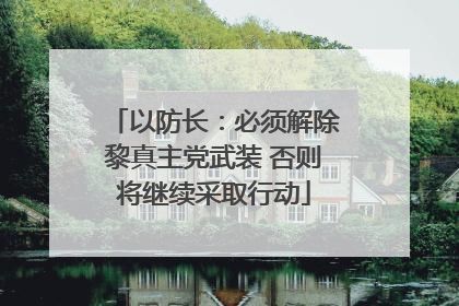 以防长：必须解除黎真主党武装 否则将继续采取行动