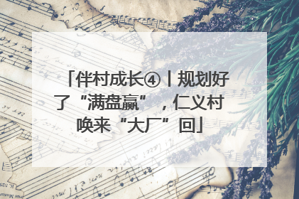 伴村成长④丨规划好了“满盘赢”，仁义村唤来“大厂”回