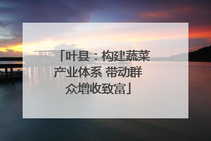 叶县：构建蔬菜产业体系 带动群众增收致富