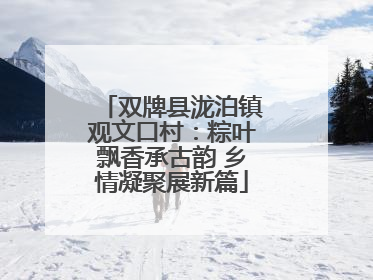 双牌县泷泊镇观文口村：粽叶飘香承古韵 乡情凝聚展新篇