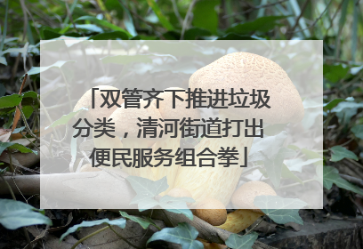 双管齐下推进垃圾分类，清河街道打出便民服务组合拳