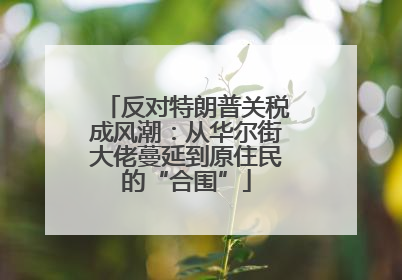 反对特朗普关税成风潮：从华尔街大佬蔓延到原住民的“合围”