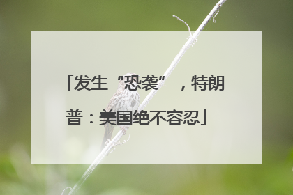 发生“恐袭”，特朗普：美国绝不容忍