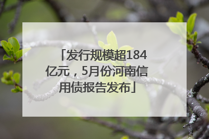 发行规模超184亿元，5月份河南信用债报告发布