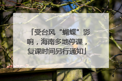 受台风“蝴蝶”影响，海南多地停课，复课时间另行通知