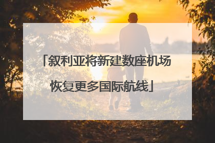 叙利亚将新建数座机场 恢复更多国际航线