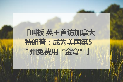 叫板 英王首访加拿大 特朗普：成为美国第51州免费用“金穹”