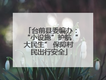 台前县委编办：“小设施”护航“大民生” 保障村民出行安全