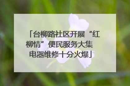 台柳路社区开展“红柳情”便民服务大集 电器维修十分火爆