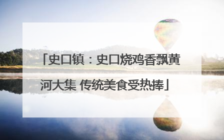 史口镇：史口烧鸡香飘黄河大集 传统美食受热捧