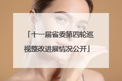 十一届省委第四轮巡视整改进展情况公开