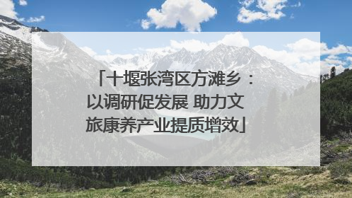 十堰张湾区方滩乡：以调研促发展 助力文旅康养产业提质增效