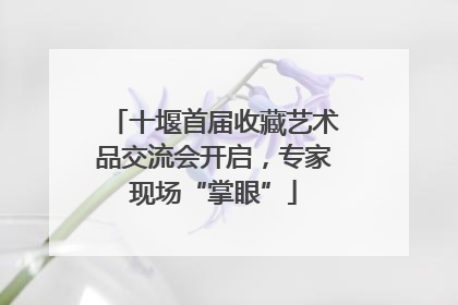 十堰首届收藏艺术品交流会开启，专家现场“掌眼”