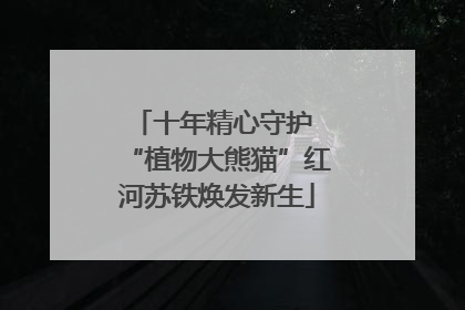 十年精心守护 “植物大熊猫”红河苏铁焕发新生