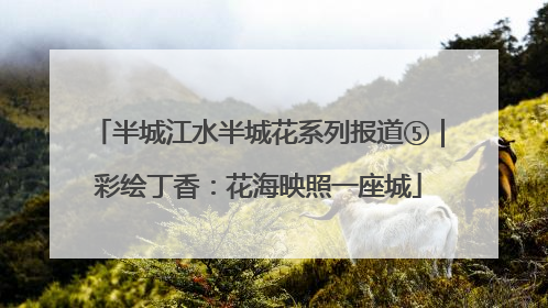 半城江水半城花系列报道⑤｜彩绘丁香：花海映照一座城