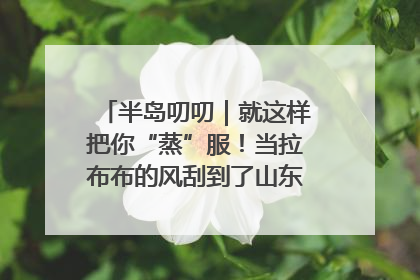 半岛叨叨｜就这样把你“蒸”服！当拉布布的风刮到了山东馒头界……