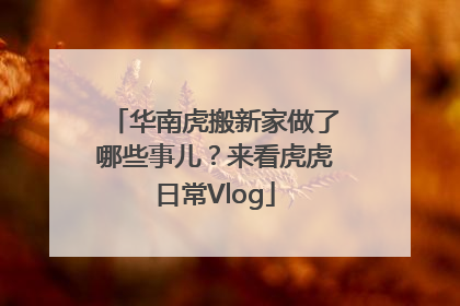 华南虎搬新家做了哪些事儿？来看虎虎日常Vlog