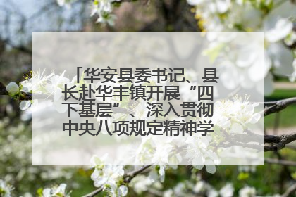 华安县委书记、县长赴华丰镇开展“四下基层”、深入贯彻中央八项规定精神学习教育工作调研