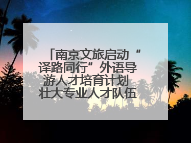 南京文旅启动“译路同行”外语导游人才培育计划 壮大专业人才队伍助力重要国际旅游目的地建设