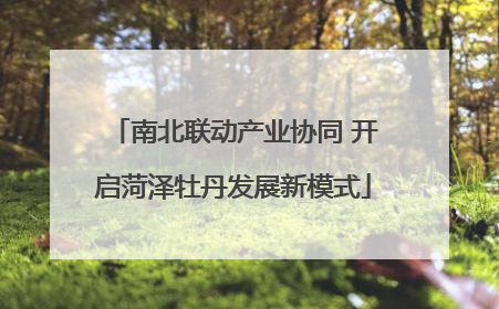 南北联动产业协同 开启菏泽牡丹发展新模式