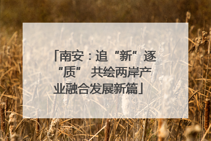 南安：追“新”逐“质” 共绘两岸产业融合发展新篇