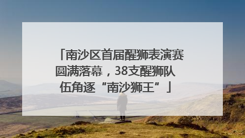 南沙区首届醒狮表演赛圆满落幕，38支醒狮队伍角逐“南沙狮王”