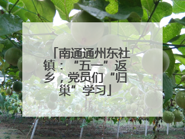 南通通州东社镇：“五一”返乡，党员们“归巢”学习