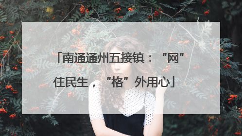 南通通州五接镇：“网”住民生，“格”外用心