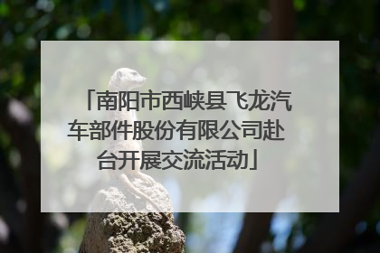 南阳市西峡县飞龙汽车部件股份有限公司赴台开展交流活动