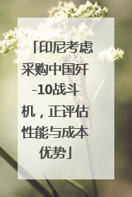 印尼考虑采购中国歼-10战斗机，正评估性能与成本优势