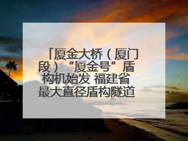 厦金大桥（厦门段）“厦金号”盾构机始发 福建省最大直径盾构隧道正式掘进