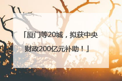 厦门等20城，拟获中央财政200亿元补助！