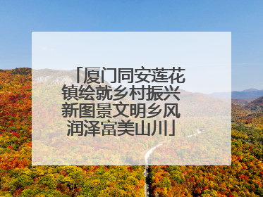 厦门同安莲花镇绘就乡村振兴新图景文明乡风润泽富美山川