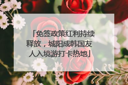 免签政策红利持续释放，城阳成韩国友人入境游打卡热地