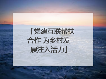 党建互联帮扶合作 为乡村发展注入活力