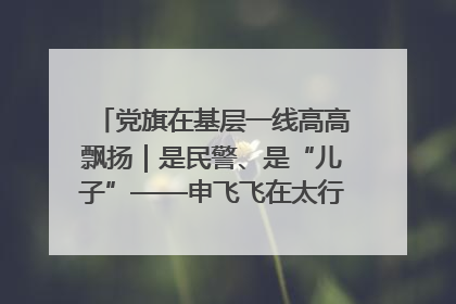 党旗在基层一线高高飘扬｜是民警、是“儿子”——申飞飞在太行山中的一线坚守