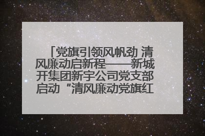 党旗引领风帆劲 清风廉动启新程——新城开集团新宇公司党支部启动“清风廉动党旗红”系列活动