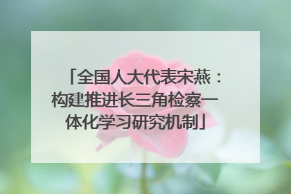 全国人大代表宋燕：构建推进长三角检察一体化学习研究机制