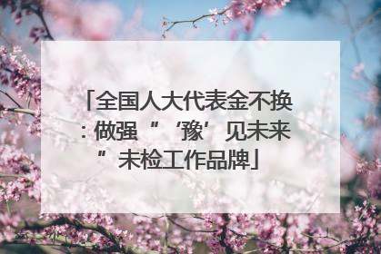 全国人大代表金不换：做强“‘豫’见未来”未检工作品牌