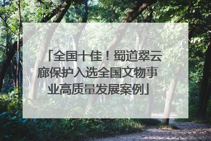 全国十佳！蜀道翠云廊保护入选全国文物事业高质量发展案例