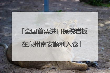 全国首票进口保税岩板在泉州南安顺利入仓