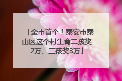 全市首个！泰安市泰山区这个村生育二孩奖2万、三孩奖3万