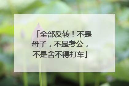全部反转！不是母子，不是考公，不是舍不得打车