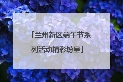 兰州新区端午节系列活动精彩纷呈