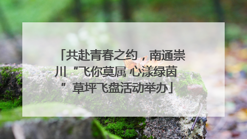 共赴青春之约，南通崇川“飞你莫属 心漾绿茵”草坪飞盘活动举办