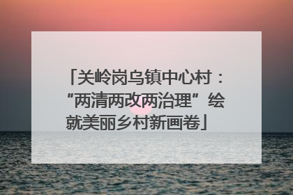 关岭岗乌镇中心村：“两清两改两治理”绘就美丽乡村新画卷
