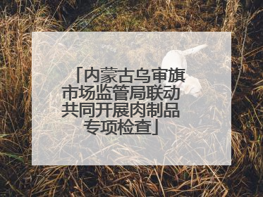 内蒙古乌审旗市场监管局联动共同开展肉制品专项检查